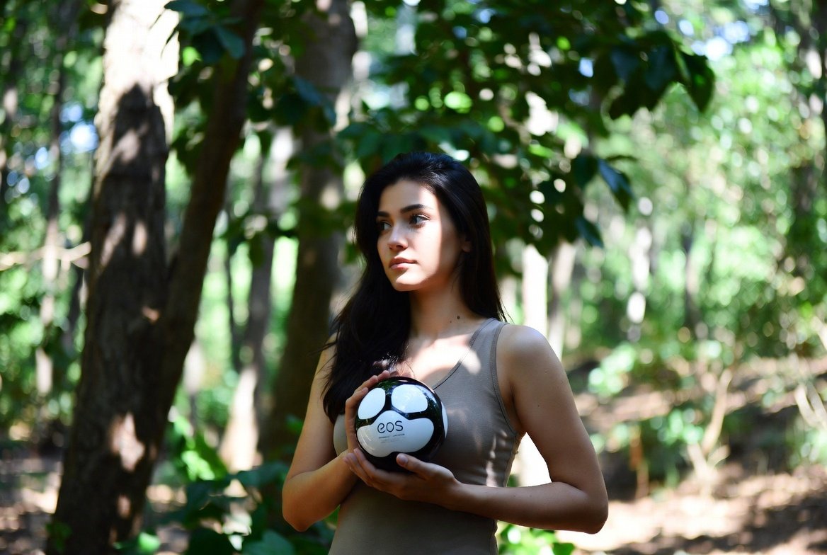 엔트리파워볼 네임드파워볼 실시간 통계 데이터 해석 방법 상세 정리